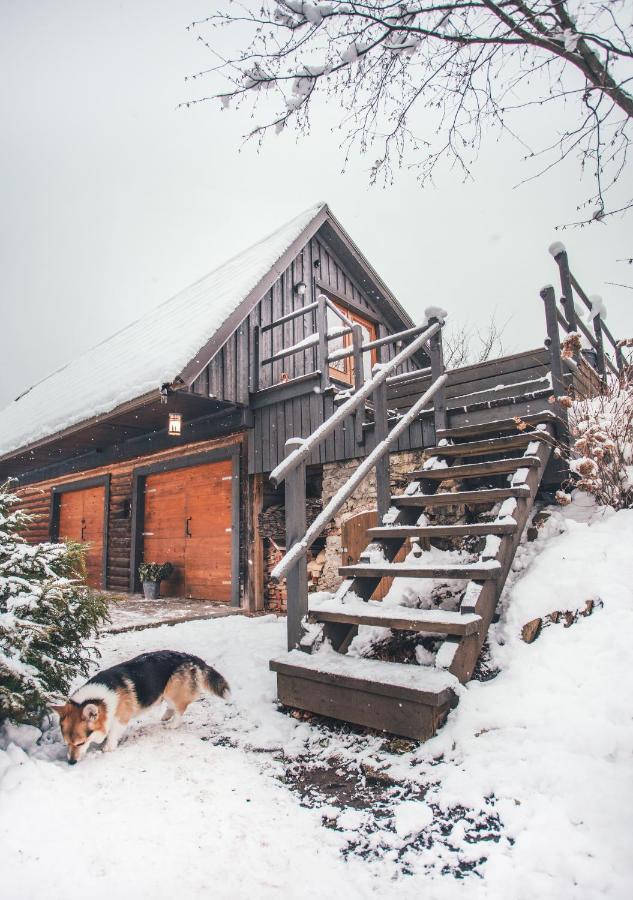 Villa Mazais Livkalns à Sigulda Extérieur photo